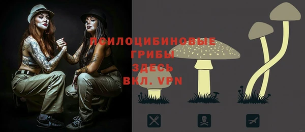 mdpv Красноперекопск