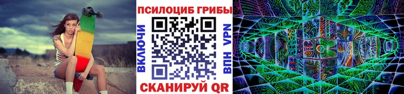 Псилоцибиновые грибы мухоморы  гидра tor  Елец 