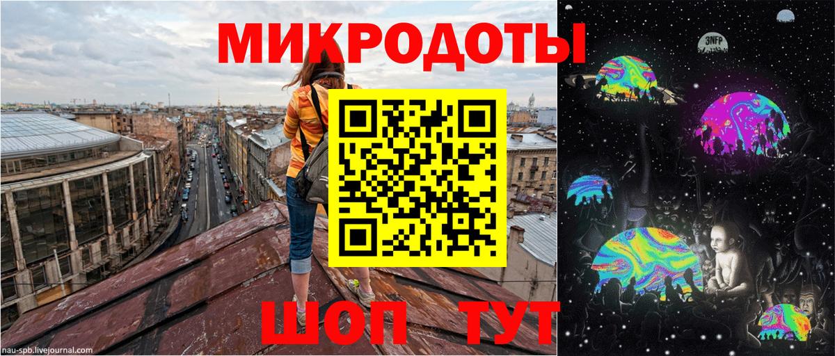 Галлюциногенные грибы Psilocybine cubensis Елец