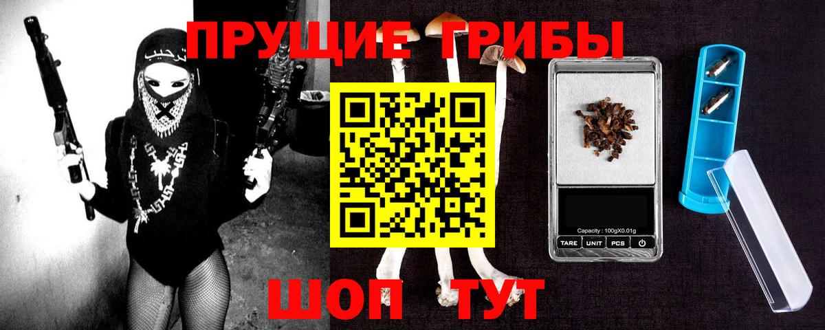 Галлюциногенные грибы Psilocybine cubensis  Вход с VPN  Елец 